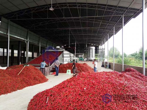 2020年辣椒烘干設備投資前景如何？