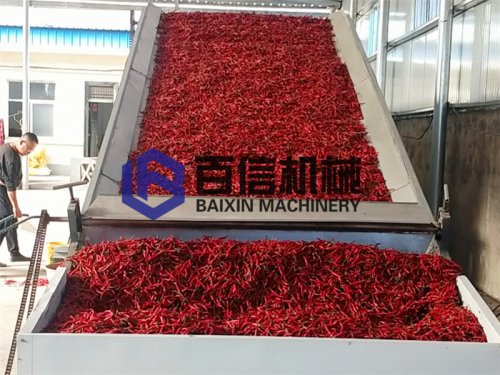 網帶式辣椒烘干機有哪些差別？