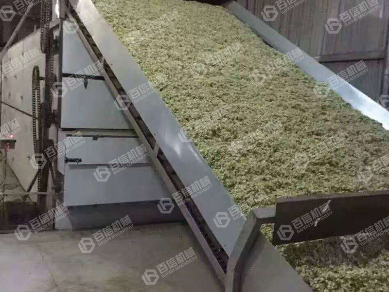 槐花烘干機-洋槐花烘干機-槐花