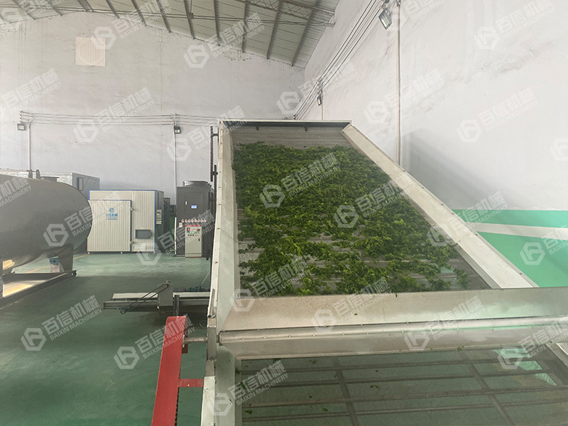 海苔烘干機-海苔烘干設備-海苔