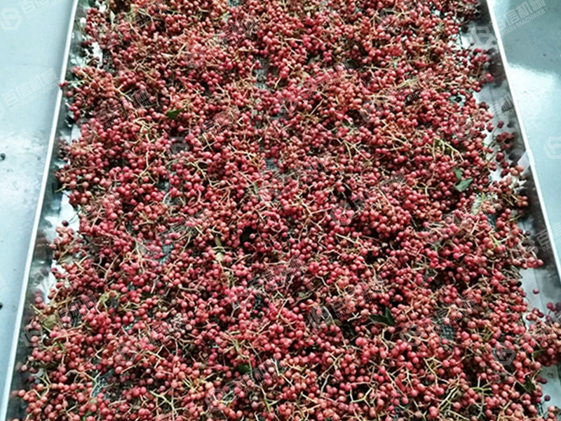花椒烘干機-花椒烘干設備-花椒