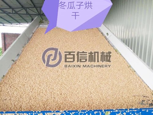 百信冬瓜子烘干機入駐廣東嘉樂城食品有限公司