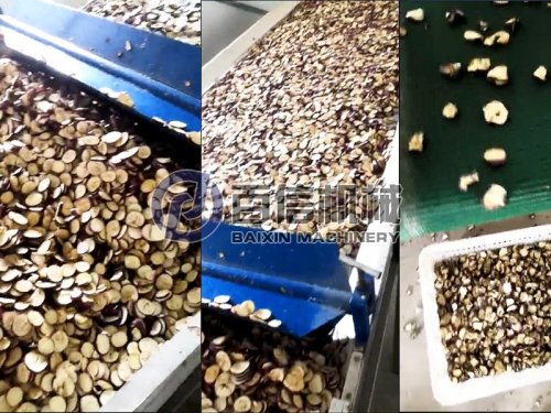 客戶訂購的果蔬烘干生產線現已投產
