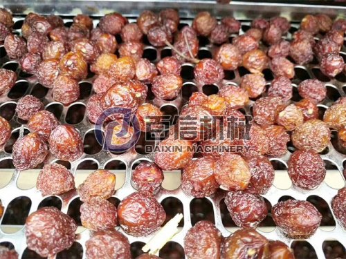 果實類物料如何烘干？ 果脯烘干加工