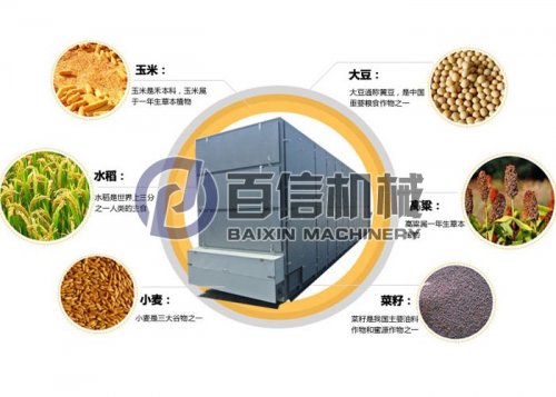 又是一年收獲季糧食烘干作業正酣!