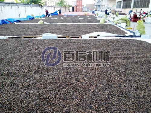 油茶籽干燥選用哪種烘干設備？