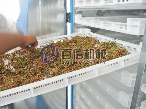 如何正確選購花椒烘干機？
