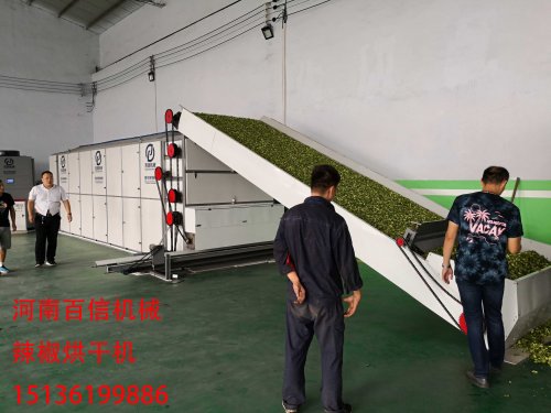 辣椒花椒網(wǎng)帶烘干機如何合理度過適應(yīng)期