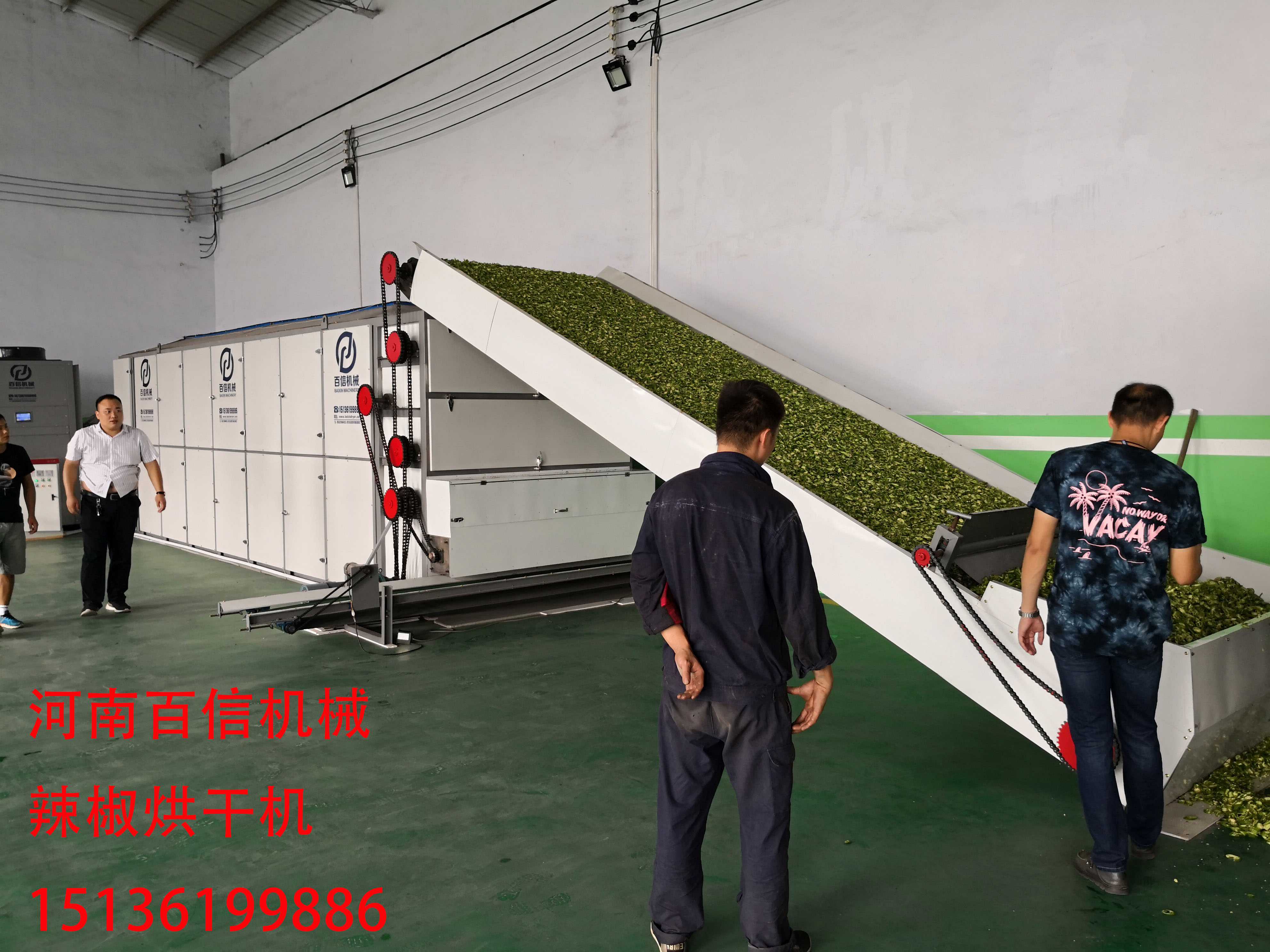 辣椒花椒網帶烘干機生產現場圖