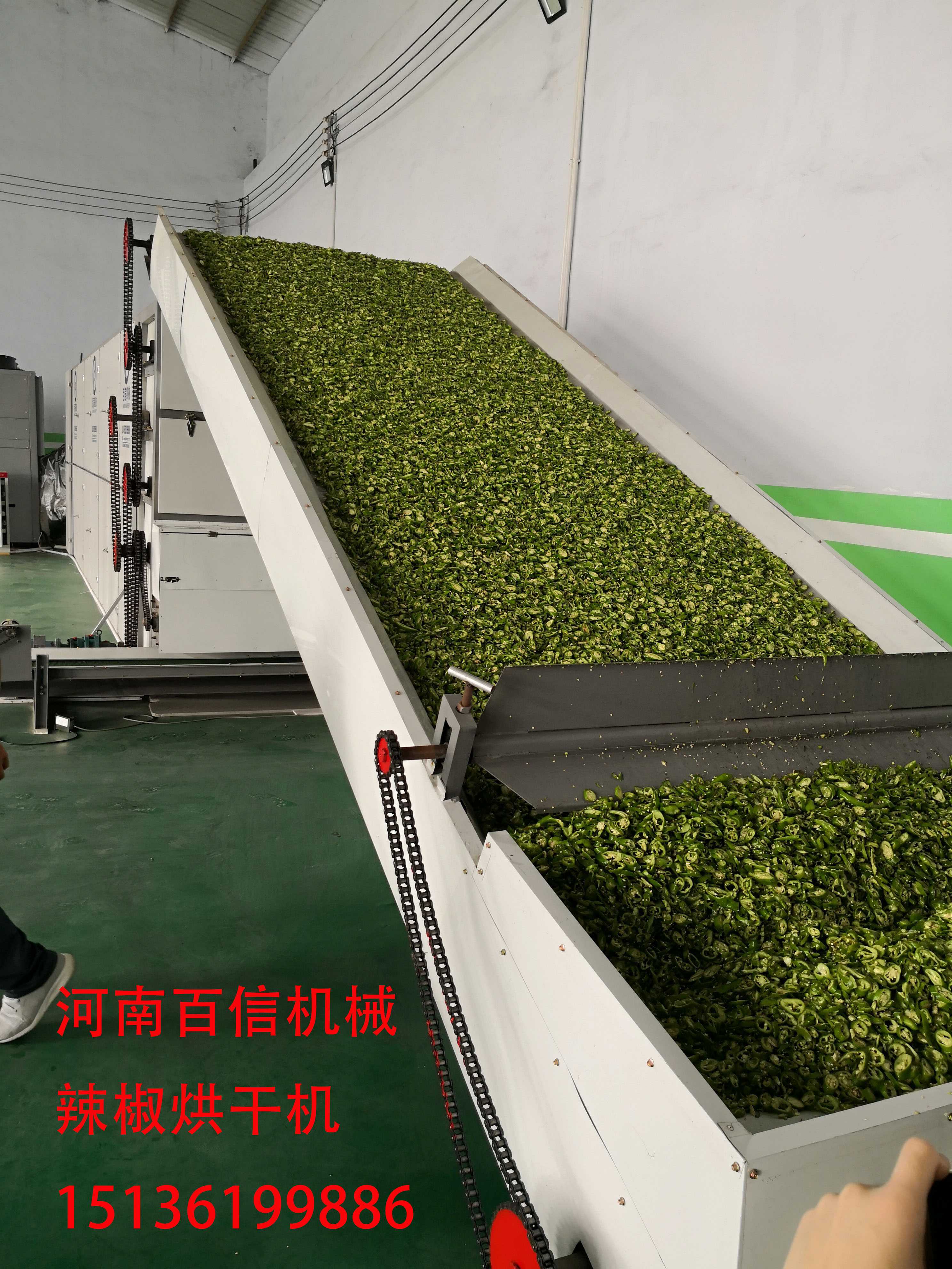 全自動辣椒烘干設備自動化生產 降低人力投資