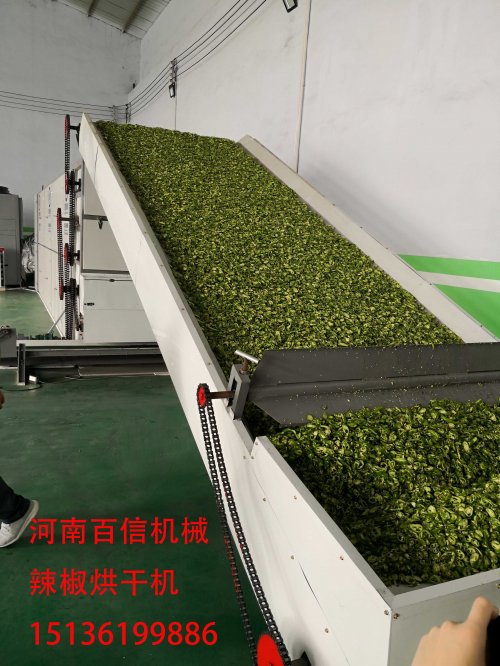 辣椒花椒網帶烘干機會是“新網紅”嗎