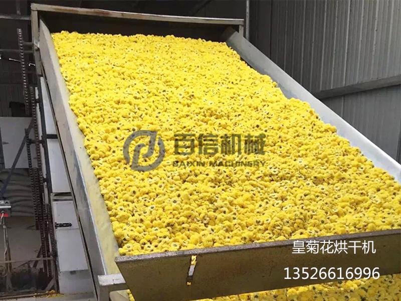 菊花烘干機