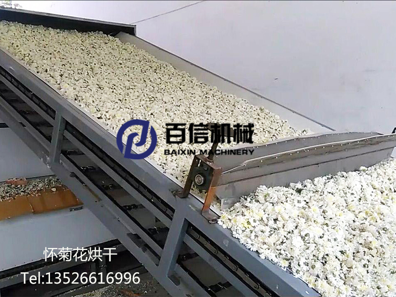 焦作懷菊花烘干機(jī)