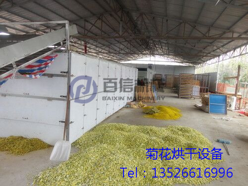 菊花烘干機(jī)