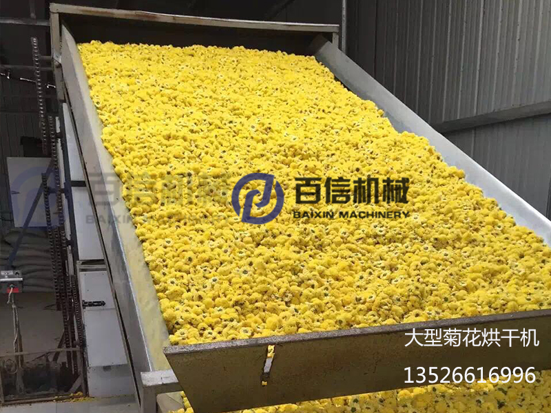 皇菊烘干機(jī)1