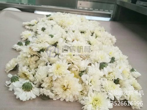 菊花烘干溫度多少合適？