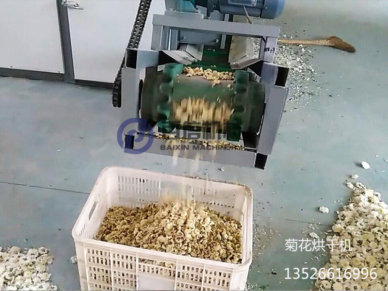 菊花烘干機