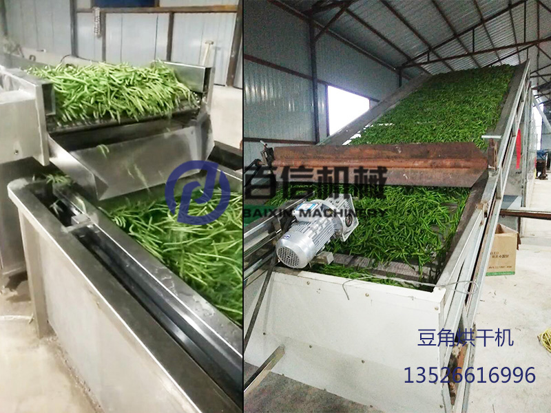 黑龍江豆角脫水加工生產線