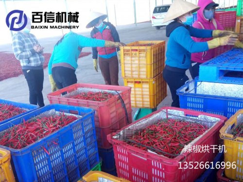 辣椒烘干機產量如何？