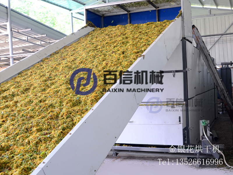 金銀花網帶式烘干機