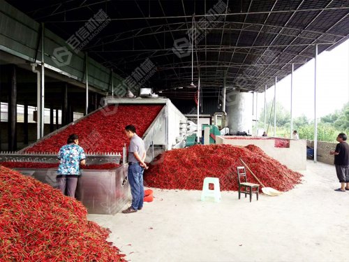 烘干旺季辣椒烘干機準備好了么？