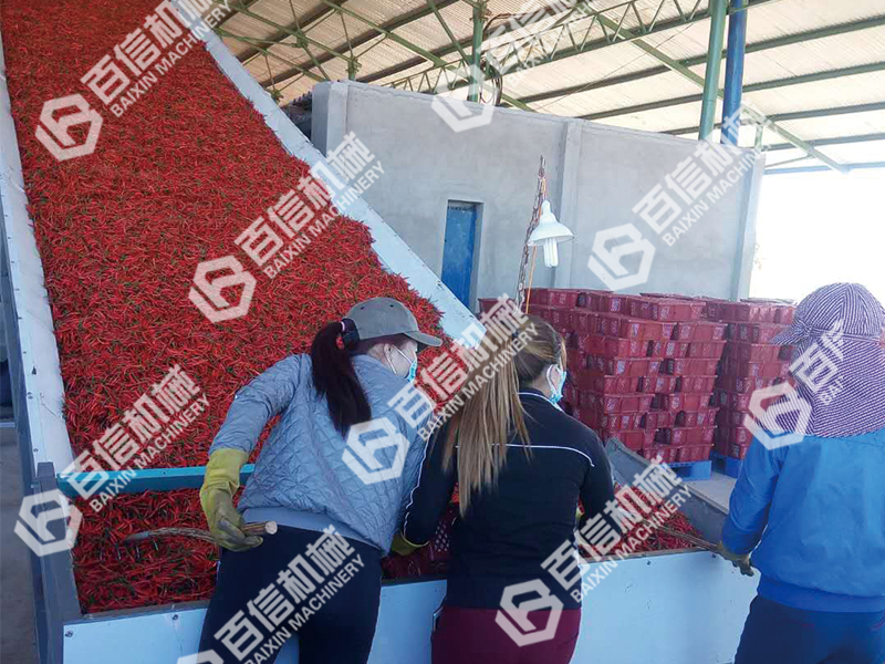 辣椒烘干機