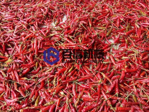 網(wǎng)帶式辣椒烘干機(jī)效果如何？