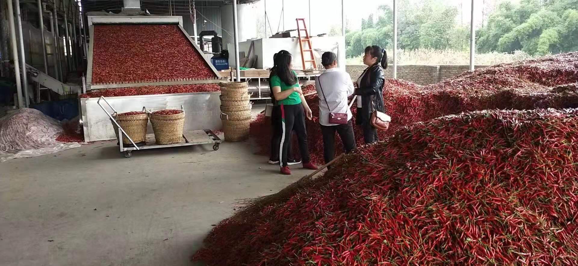 辣椒烘干機