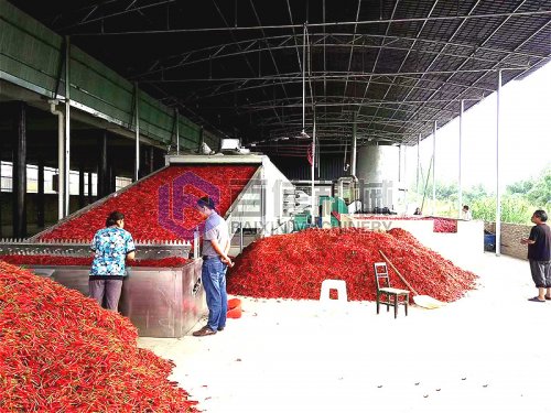 辣椒烘干機價格是多少錢一套？