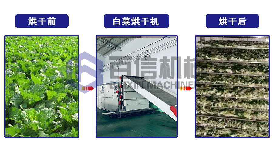 白菜烘干機(jī)