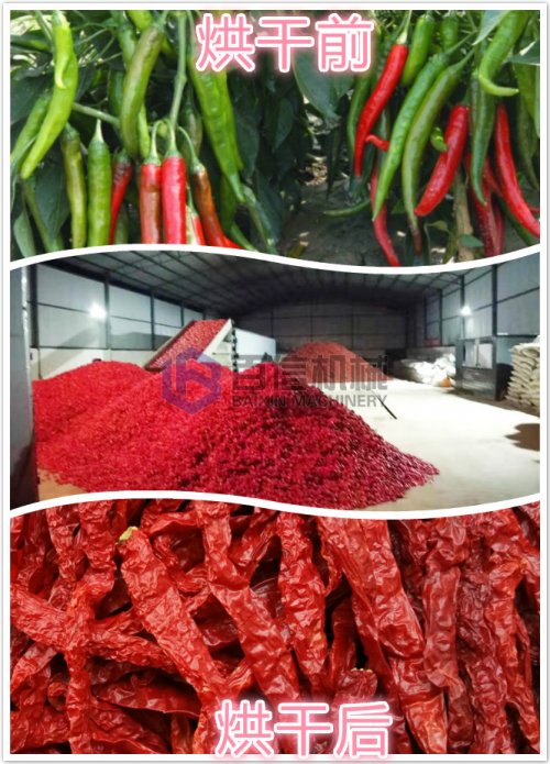 智能化大型辣椒烘干機價格是多少錢一臺？最低價格是多少？