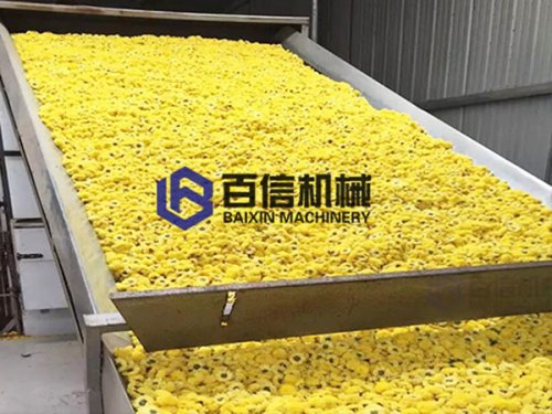 網帶式烘干機烘干花類有哪些優勢？