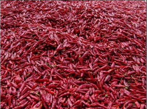 辣椒烘干機(jī)烘干溫度一般是多少度？辣椒烘干機(jī)產(chǎn)品都有多少？