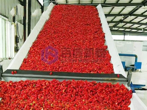 世界各國對辣椒烘干機的采購標準有什么不同？