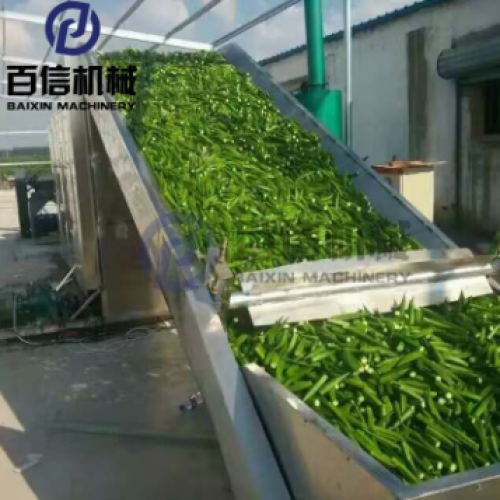 國內辣椒烘干機市場需求和發展前景分析