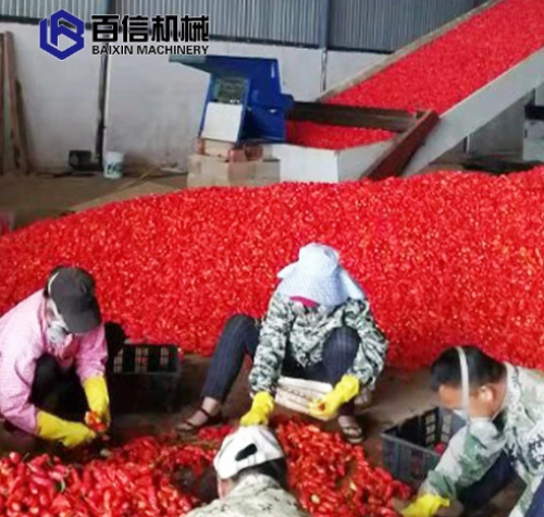 2025年我國辣椒種植面積和烘干機(jī)市場(chǎng)發(fā)展前景怎么樣？